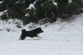franzi-badberka (11)